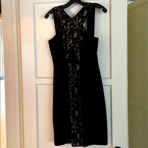BCBG Lace Dress with Full Back Zipper